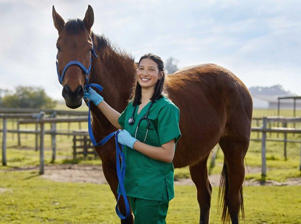 Les critères nécessaires à connaître lors des contrôles sanitaires et vétérinaires des chevaux